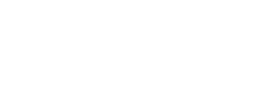 Logotipo de Destino China con un dragón blanco texturizado y letras blancas